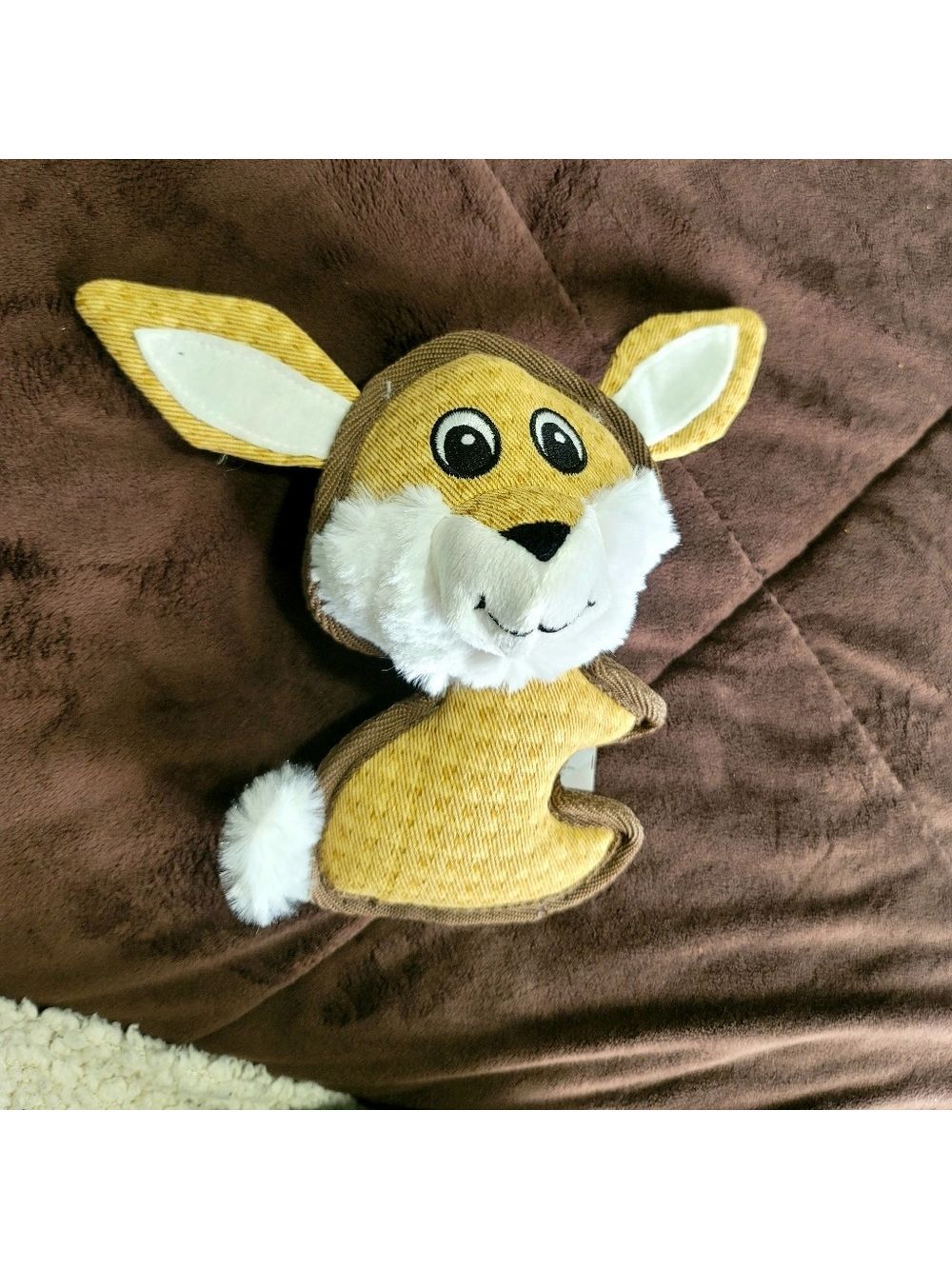 R2P Pet Zany Bunch Rabbit Stuffed Toy for Dogs